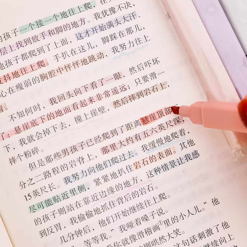 Morandi Color Highlighter Pens