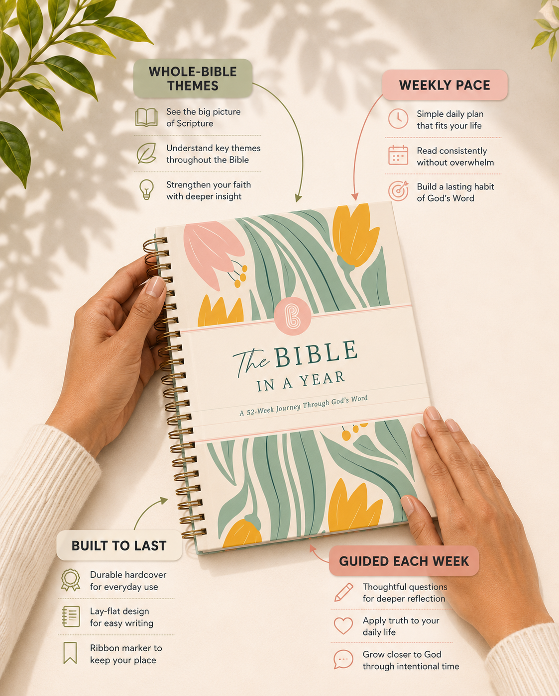 The Bible In A Year: A 52-Week Journey Through God's Word